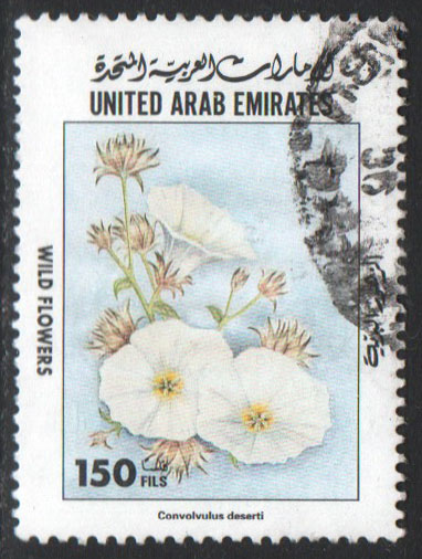 United Arab Emirates Scott 627 Used - Click Image to Close